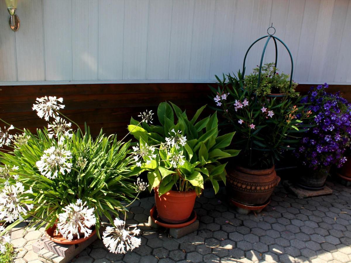 Pretty Bungalow In Neubukow With Garden, Roof Luaran gambar